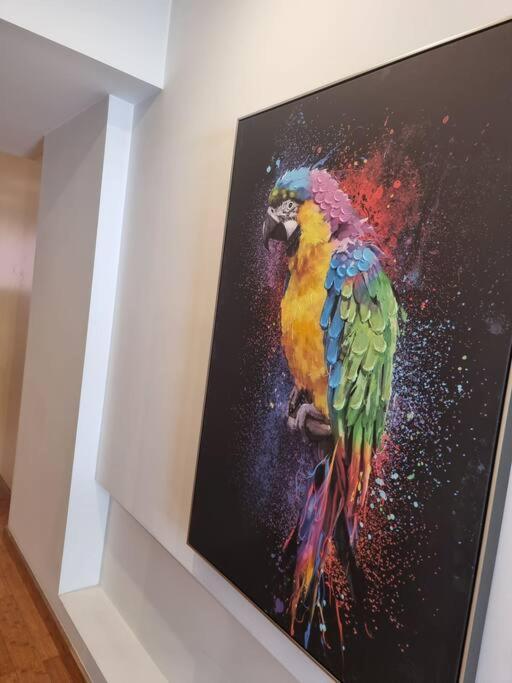 House Of Zoo Apartamento *
